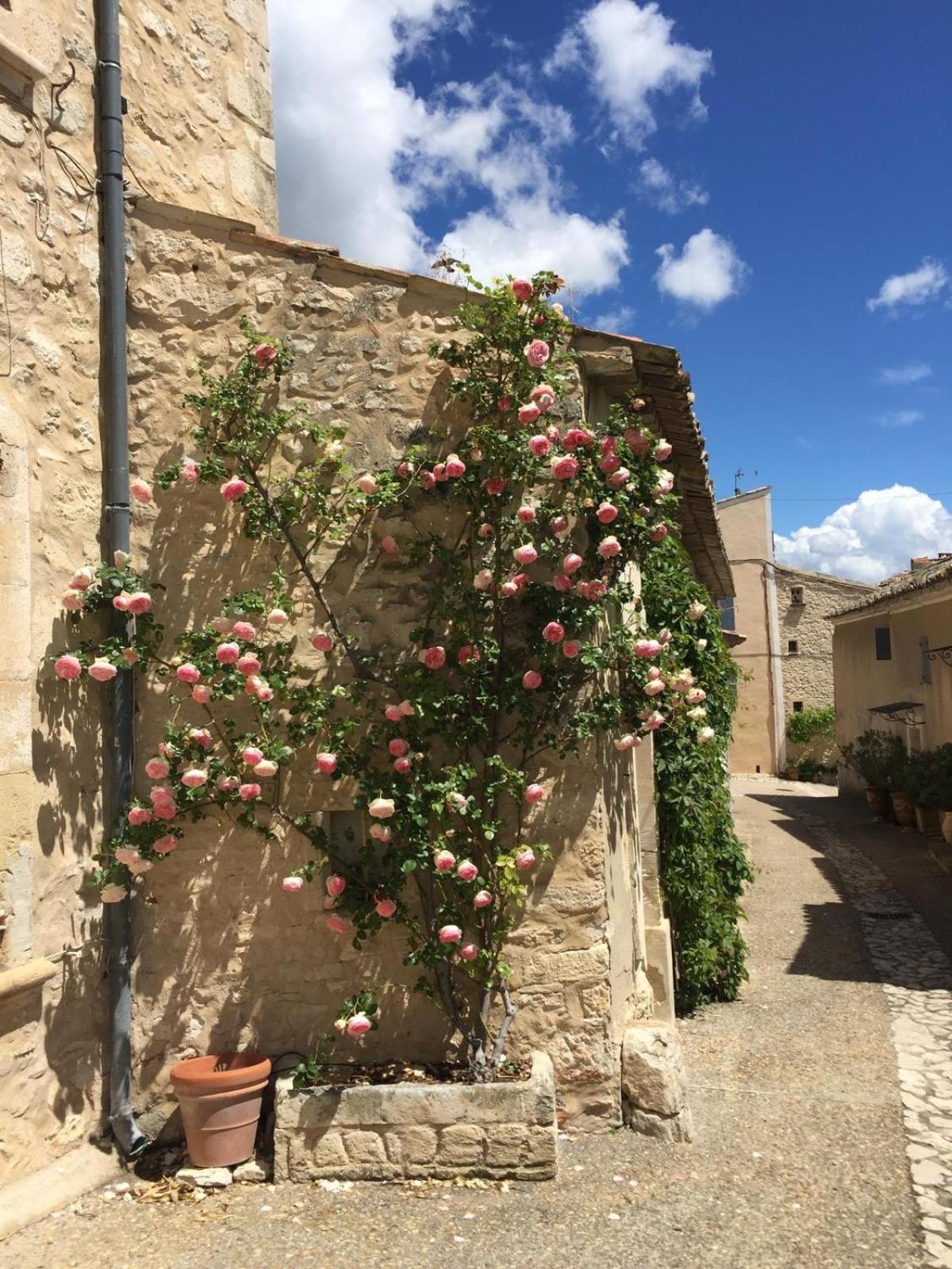 Lovely Views In Secret Provence Joucas Exterior photo